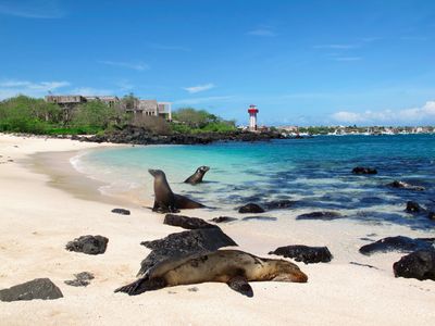 galápagos islands