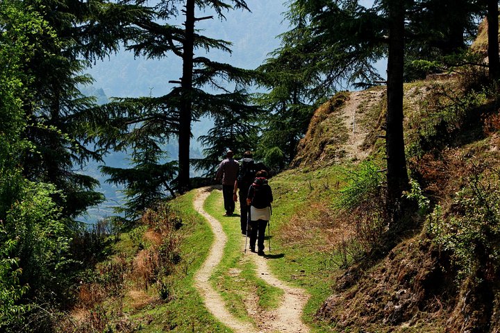 Treks around Mussoorie