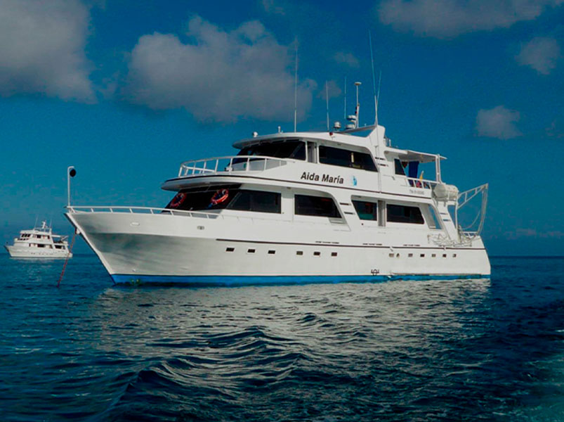 5 day cruising itinerary aboard the Aida Maria in the Galapagos Islands | Aida Maria | Galapagos Tours