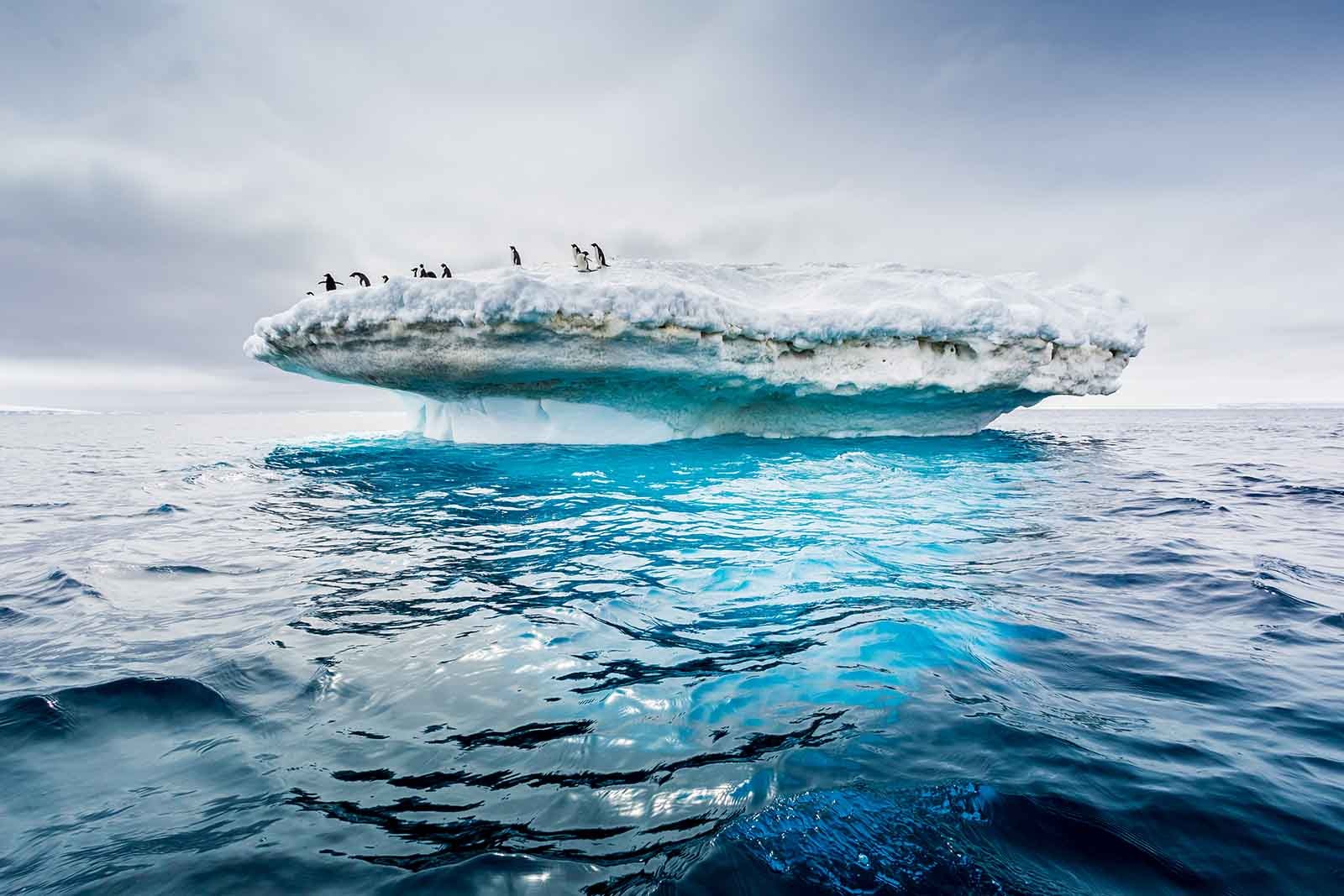 Scenery | Antarctica