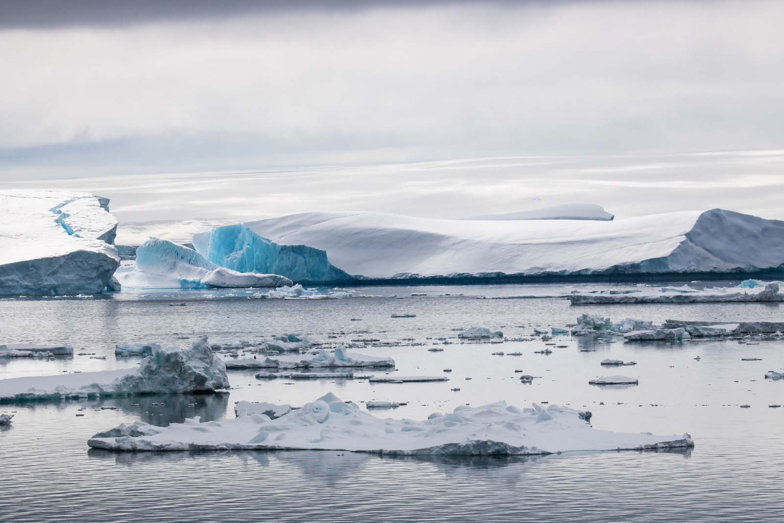 15 Amazing Tips to Explore Antarctica