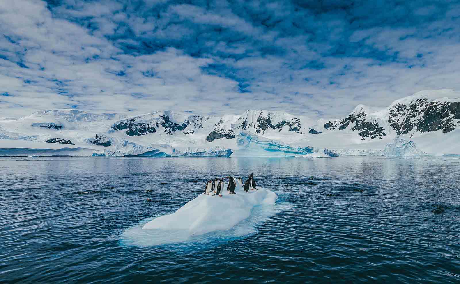  Antarctica | Exploring the Top Ten Antarctica Attractions for Travelers 