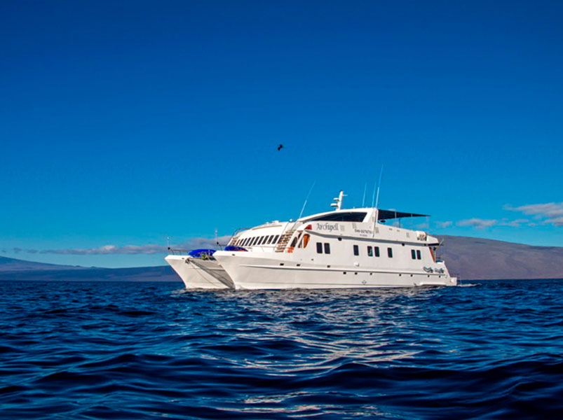 Galapagos 4 day widlife adventure on board the Archipel catamaran - Archipel I Catamaran | Archipel I | Galapagos Tours