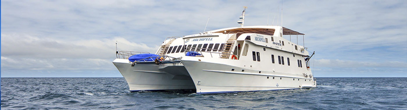 Galapagos 4 day widlife adventure on board the Archipel catamaran - Archipel I Catamaran | Archipel I | Galapagos Tours