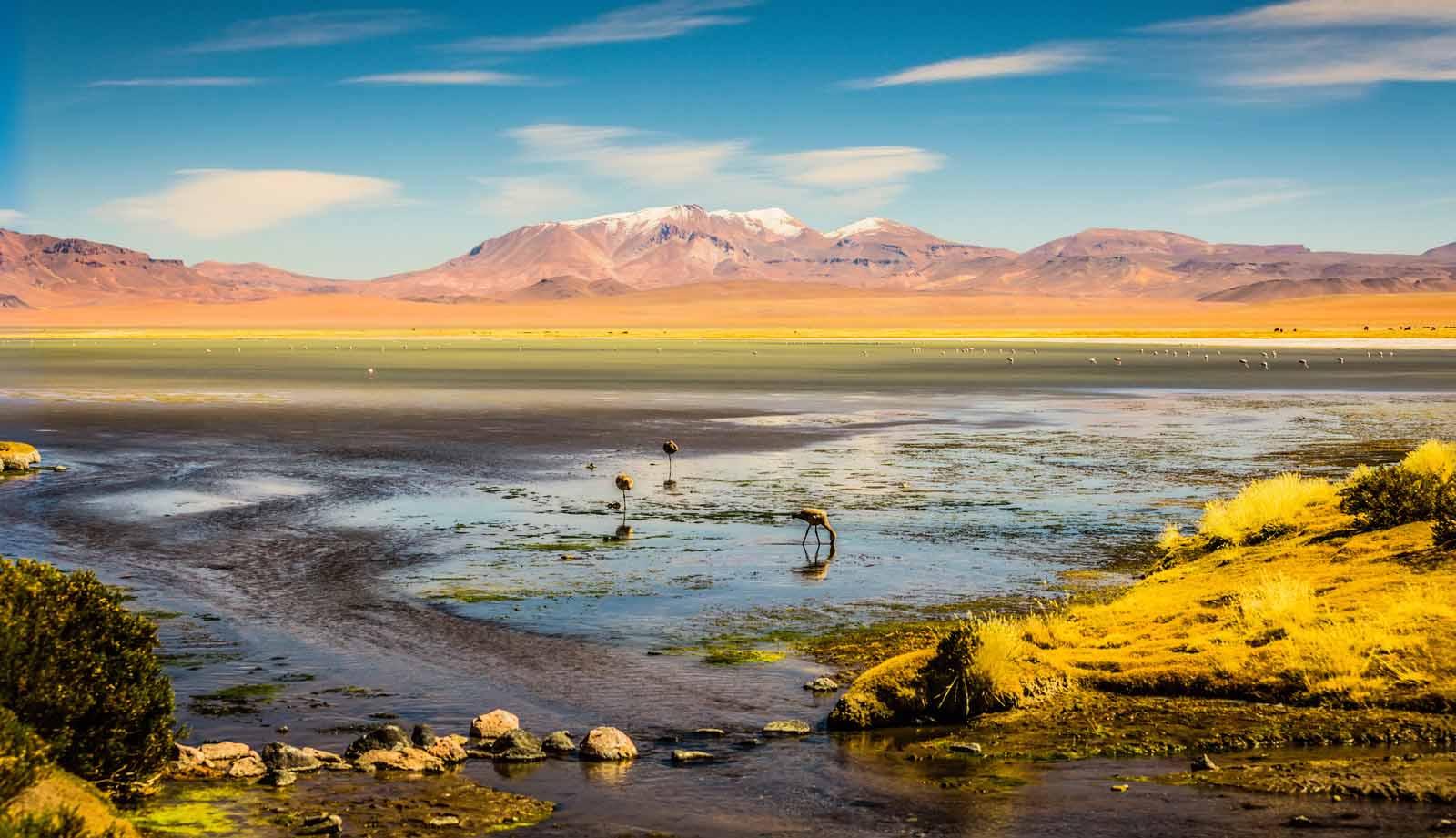 Luxury Travel & Tours in the Atacama Desert