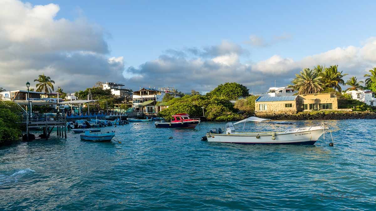 Ayora Port | Galapagos