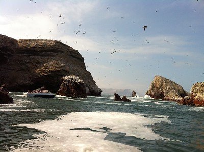 Visit the Ballestas Islands