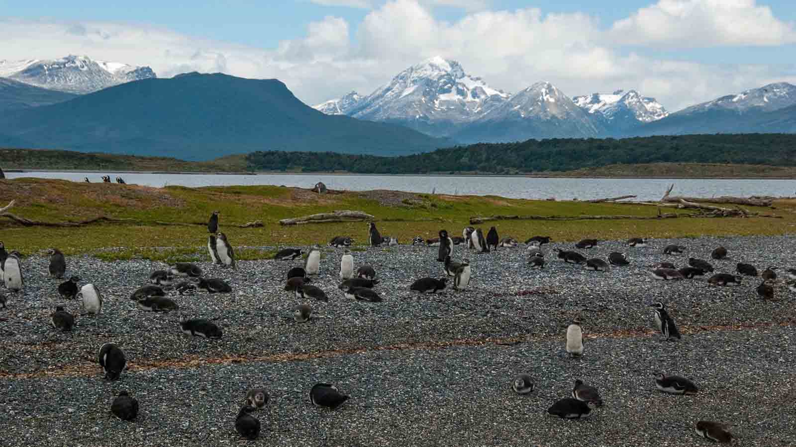 Fjords of Tierra de Fuego