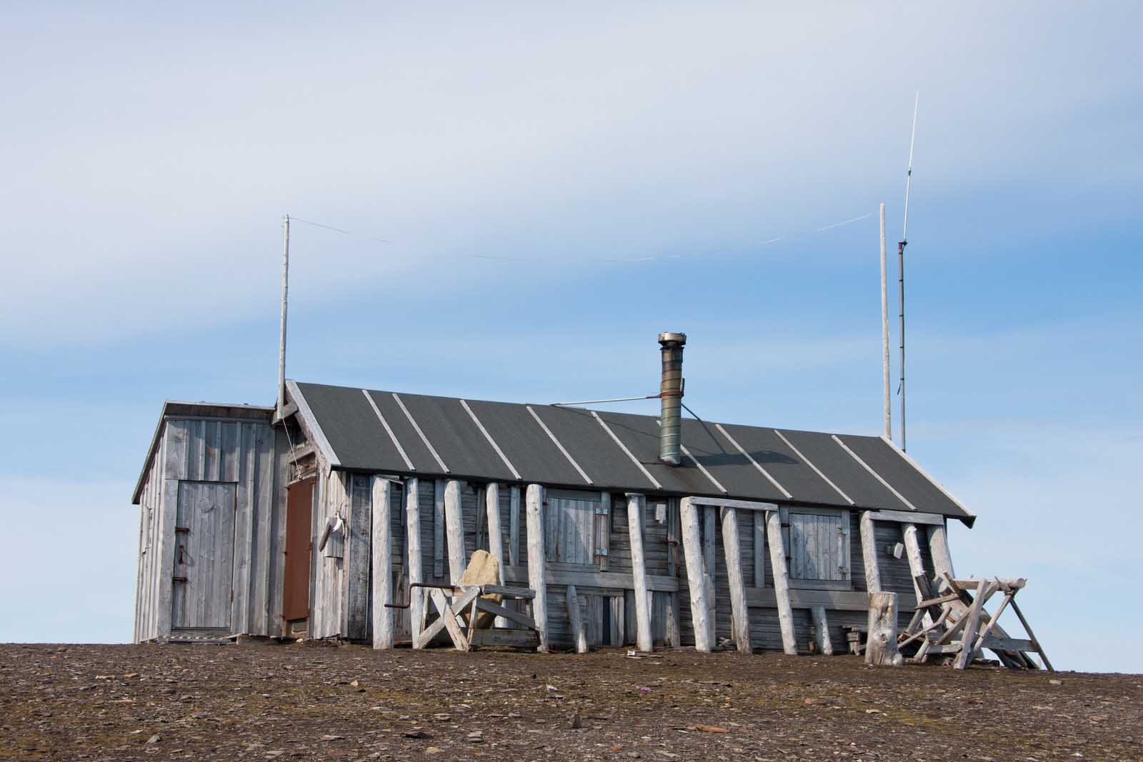 North Spitsbergen, In search of Polar Bear & birds - Summer Solstice