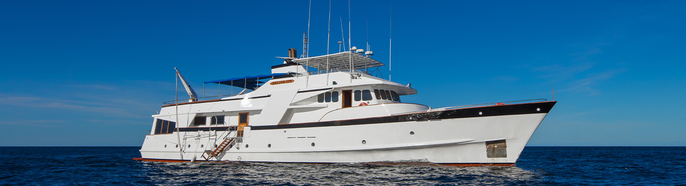 The Fernandina Itinerary 8 Days - Beluga Yacht | Beluga | Galapagos Tours