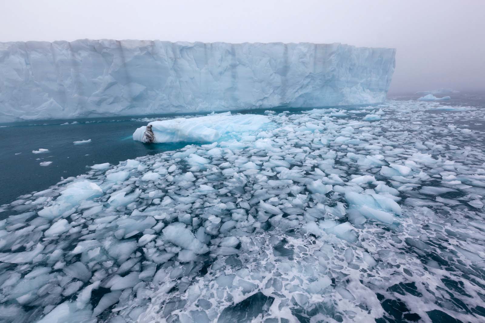 Northern Odyssey - From Scotland to Svalbard 