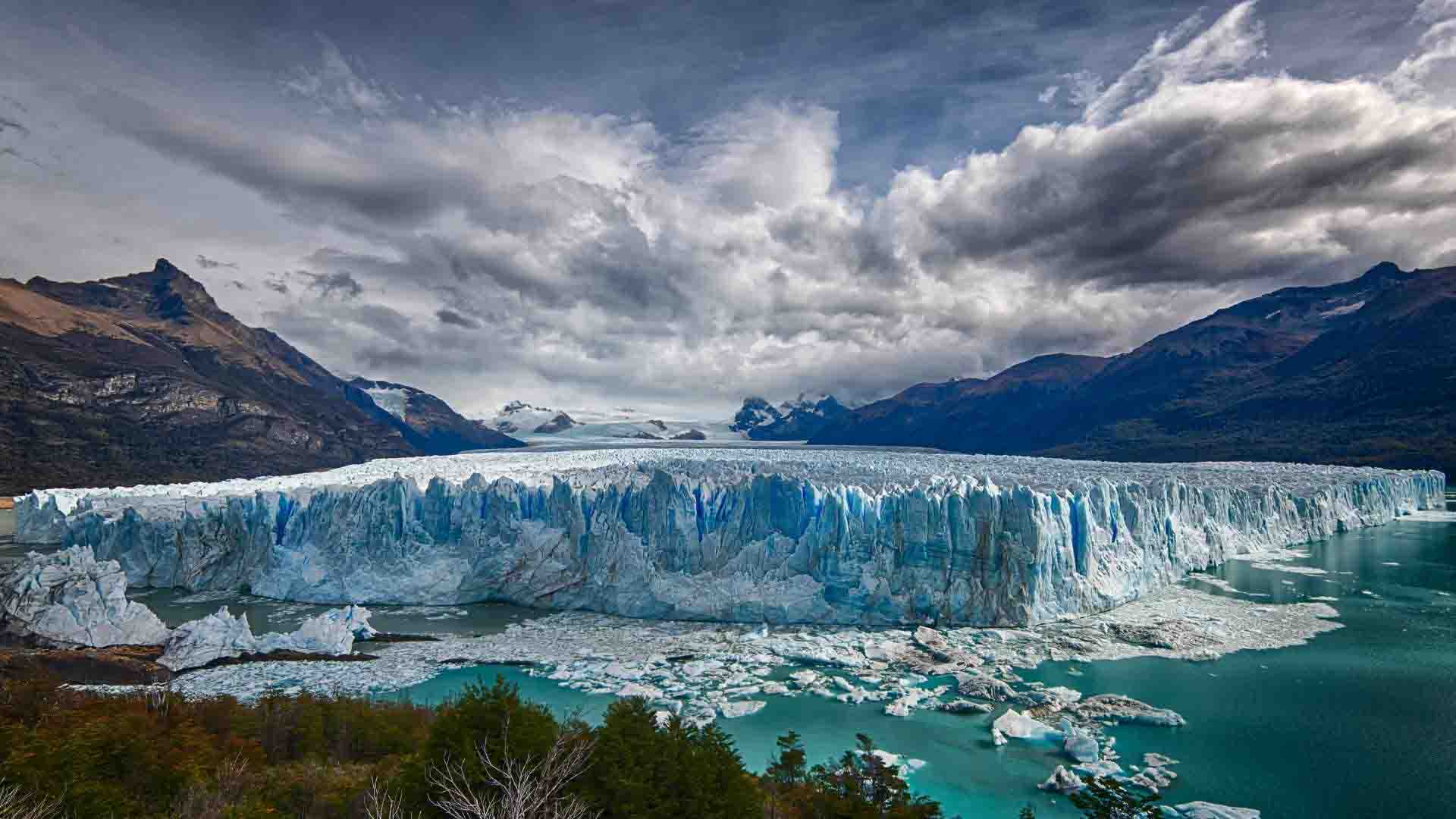 Calafate | Patagonia