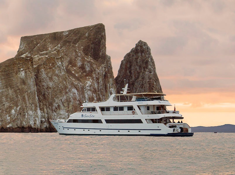 Galapagos adventure tour provided by Voyagers Travel - Sea Star Journey Yacht | Sea Star Journey | Galapagos Tours