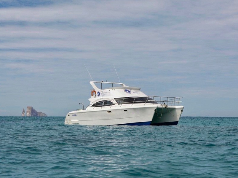 Galapagos Hopper