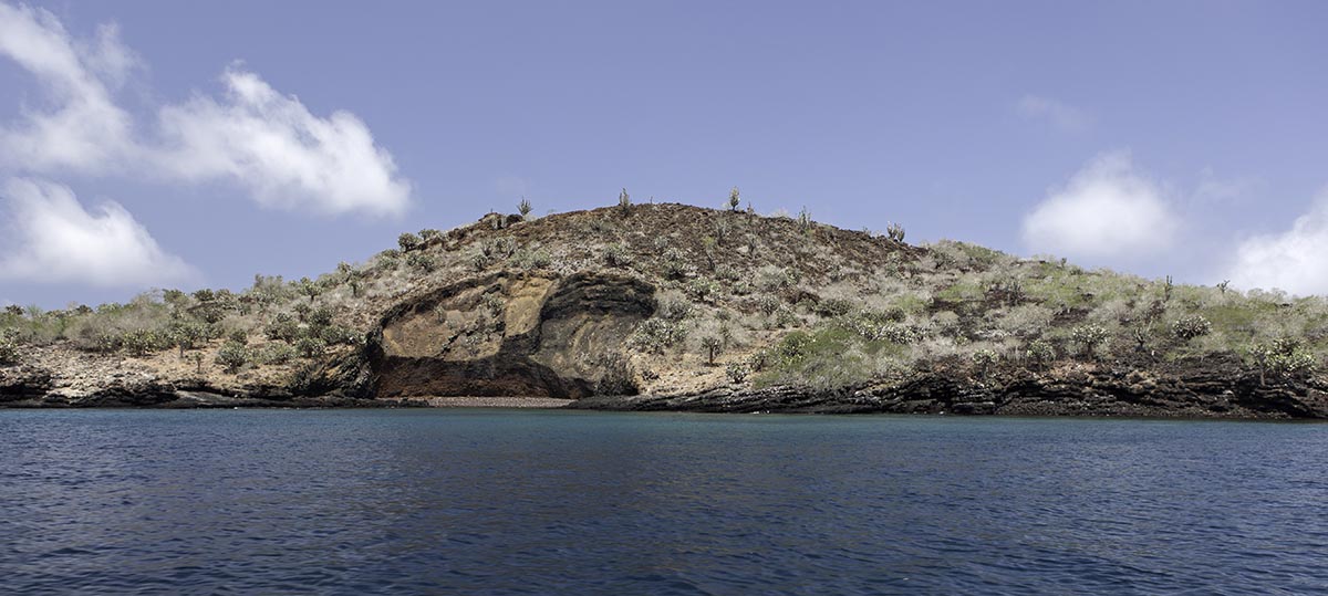 Galapagos 8 day natural history tour West Islands Calipso yacht