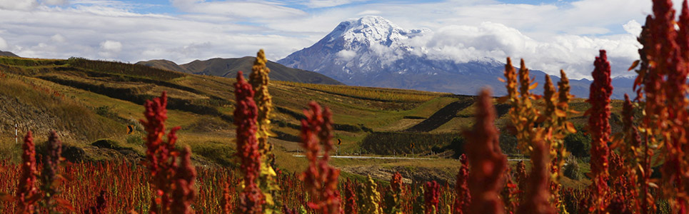 Top-rated tourist attractions of Ecuador