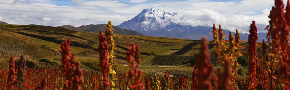  Ecuador | Top-rated tourist attractions of Ecuador