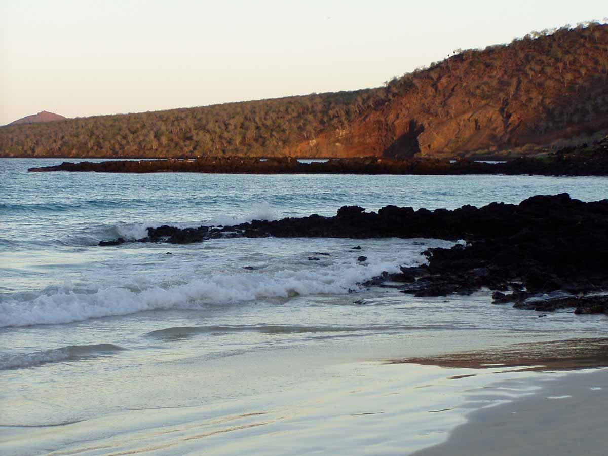 Galapagos 8 day east islands cruise on board the Endemic