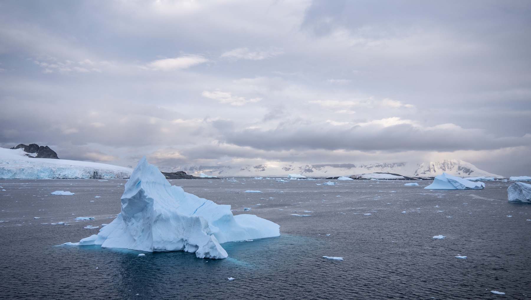 Cuverville Island | South Orkney |  Antarctica