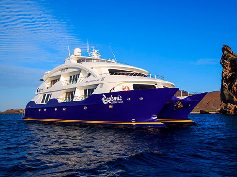Itinerary C Endemic Cruise | Endemic | Galapagos Tours