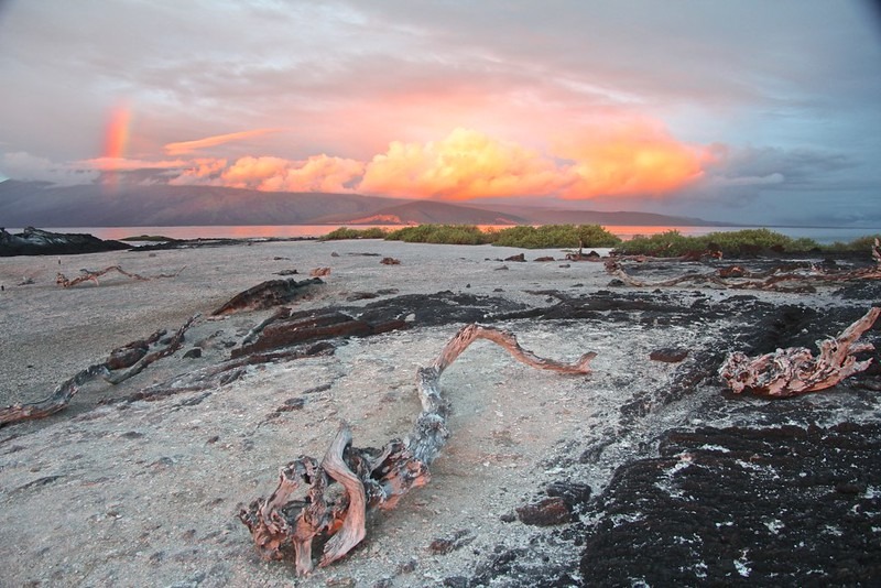 Galapagos catamaran west islands vacation itinerary 8 days M/C Anahi 