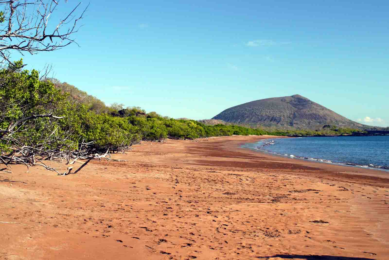 Galapagos catamaran west islands vacation itinerary 8 days M/C Anahi 