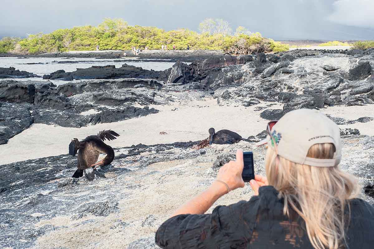 Best Islands to Visit in Galapagos: Your Ultimate Island-Hopping Guide