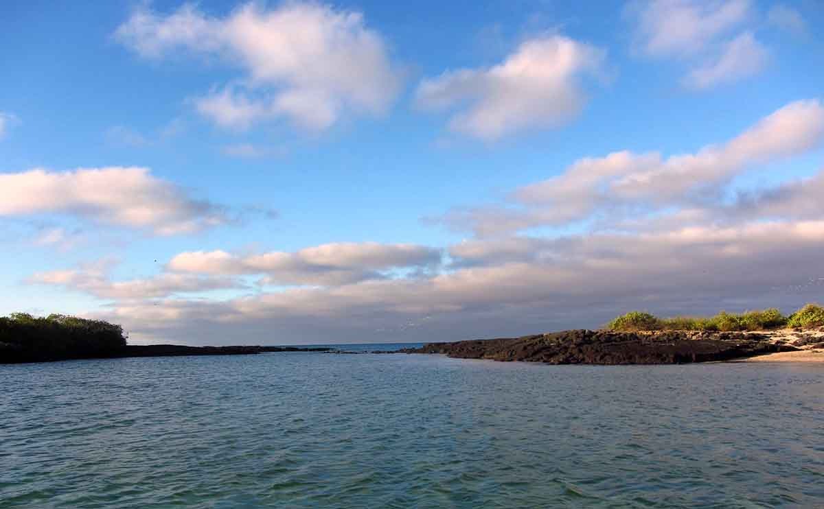 Florena Island | Galapagos