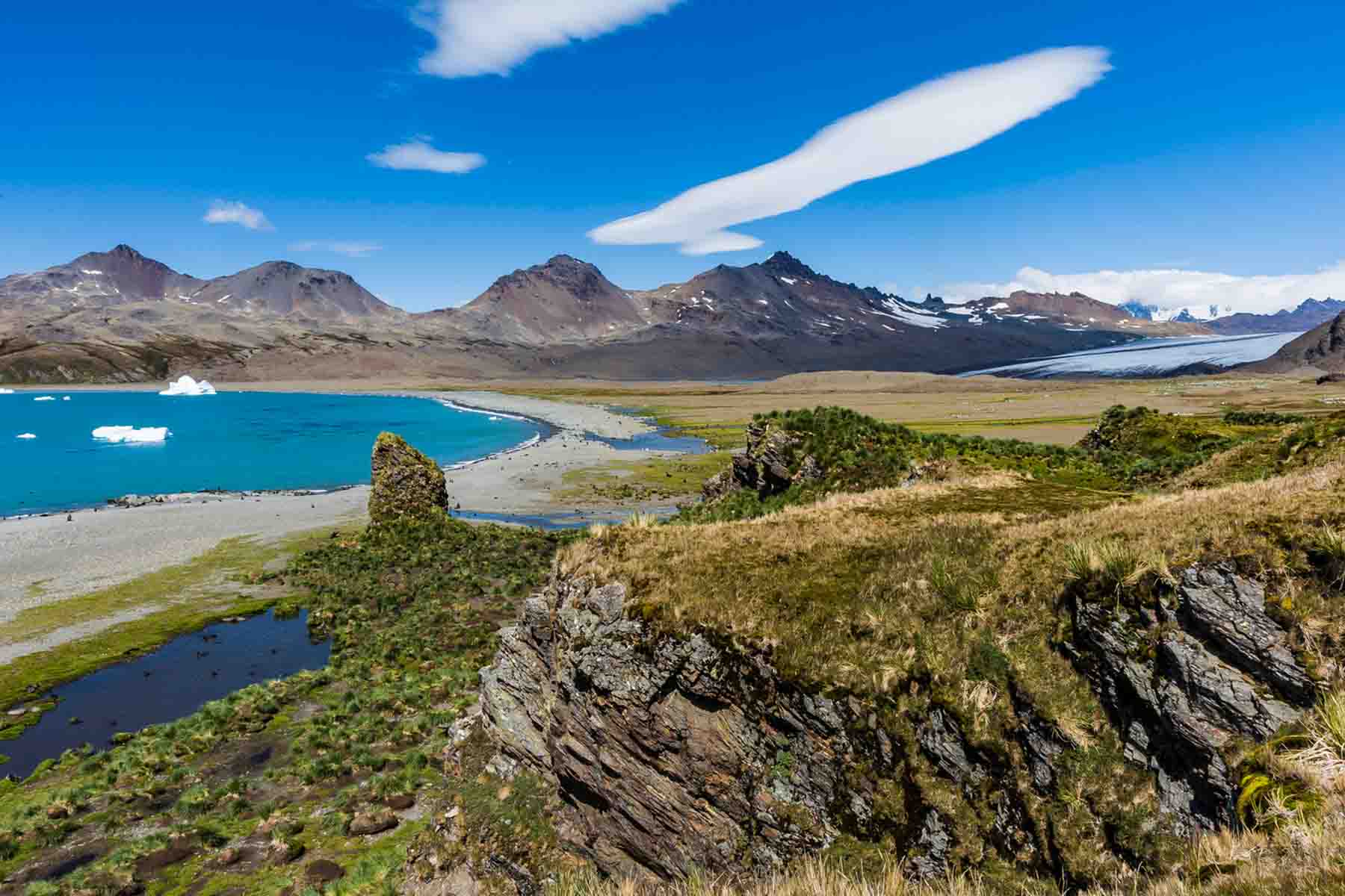 Fortuna Bay | South Georgia |  Antarctica