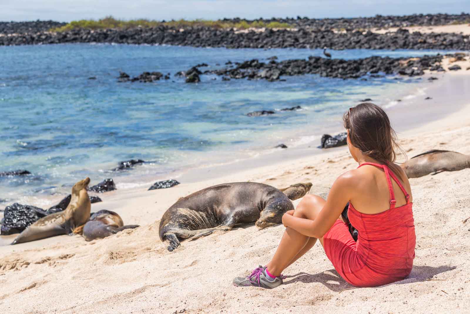  Galapagos | When is the Best Time to Visit Galapagos: A Complete Guide