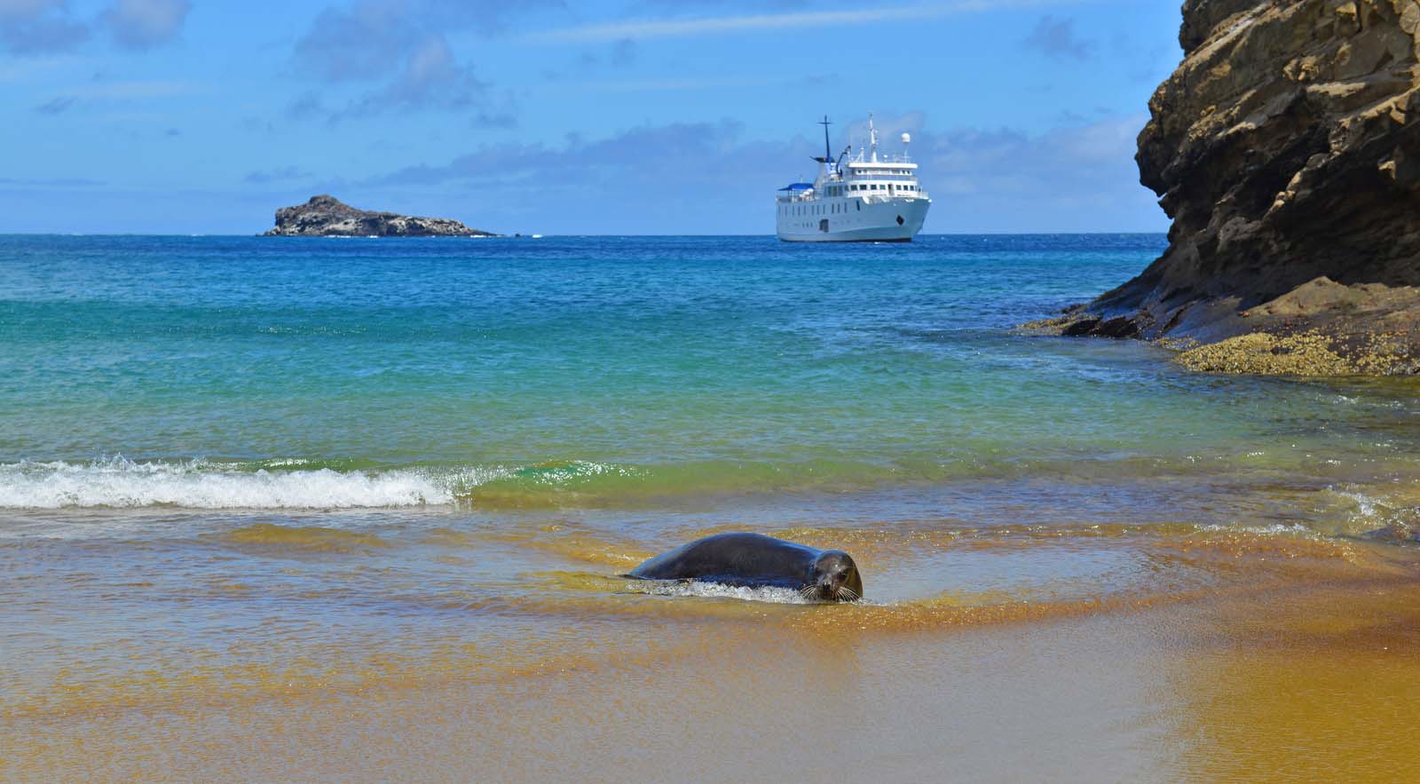 Galapagos Family Cruise Charter Guide: Charting the Perfect Voyage