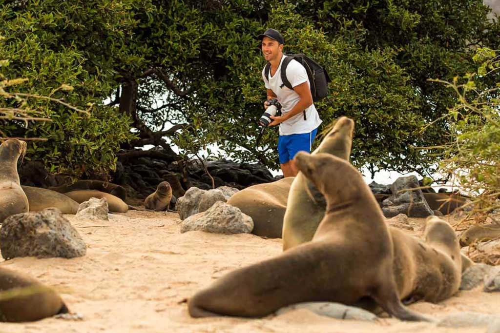 Cruise the Southern waters of the Galapagos | Yolita Yacht - ll - Itinerary B