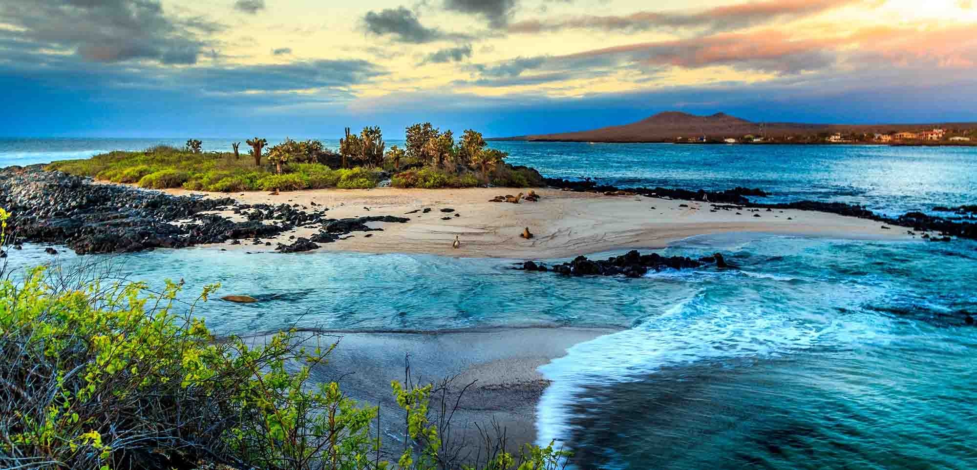  Galapagos | 10 Interesting Facts About the Galapagos Islands