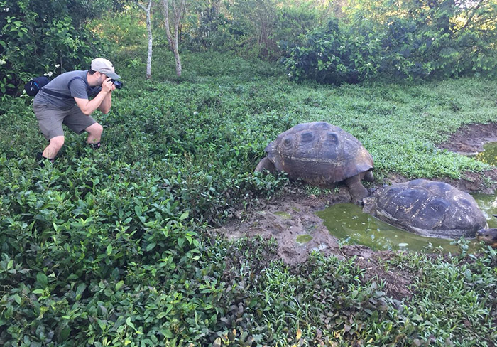 Galapagos giant tortoise San Cristobal island