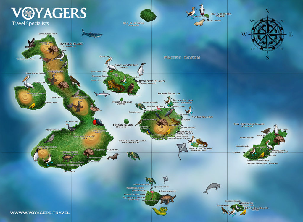 Galapagos Islands Maps | Galapagos islands | Galapagos Cruises