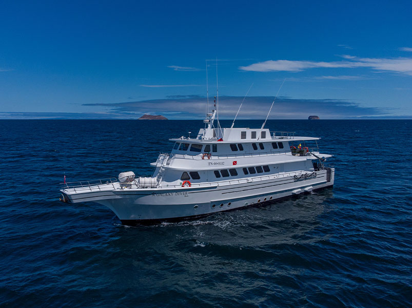 Naturalist Itinerary - Galaxy Diver Yacht | Galaxy Diver | Galapagos Tours