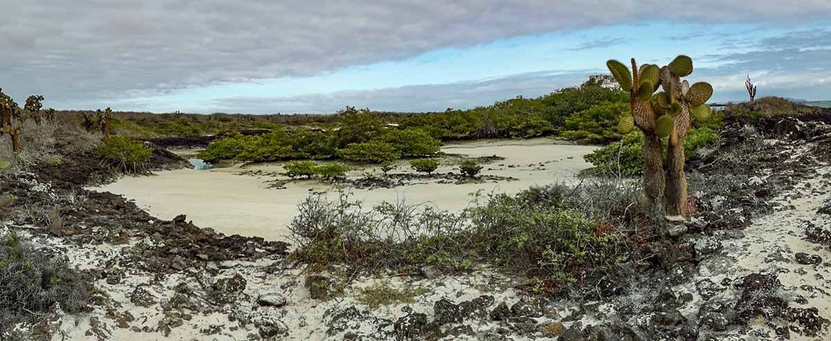  Galapagos | Explore the Secluded Beauty of Garrapatero Beach in the Galapagos Islands