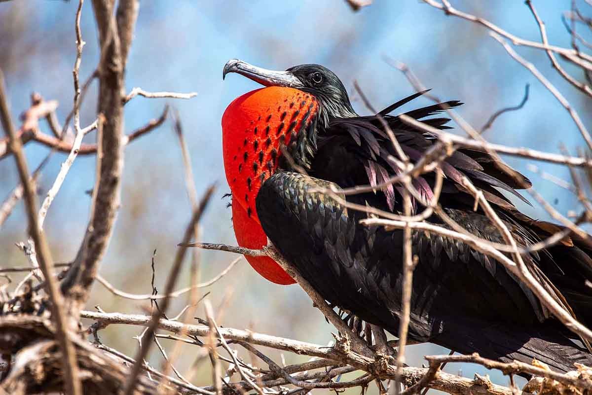 Galapagos 5 days cruise on board the Ocean Spray North and Central islands