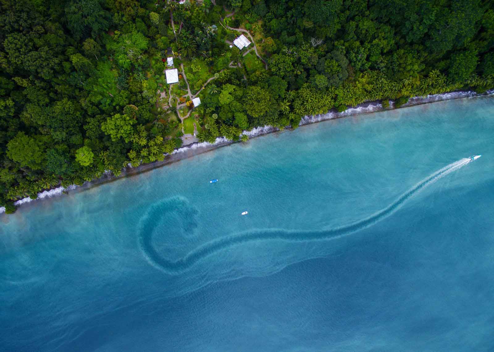 Golfo Dulce | Costa Rica | Kontiki