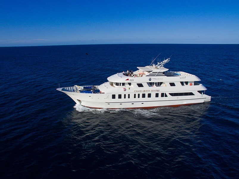 Itinerary D 8 Days - Grand Queen Beatriz Yacht | Grand Queen Beatriz | Galapagos Tours