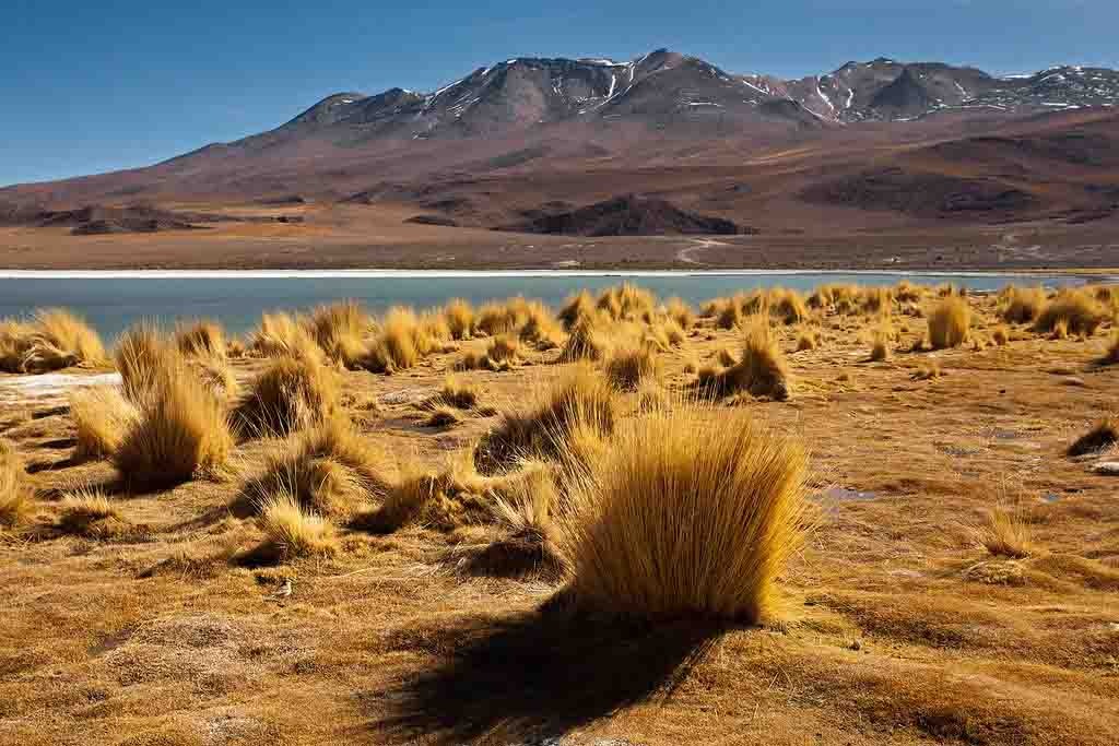Bolivia Magnificent