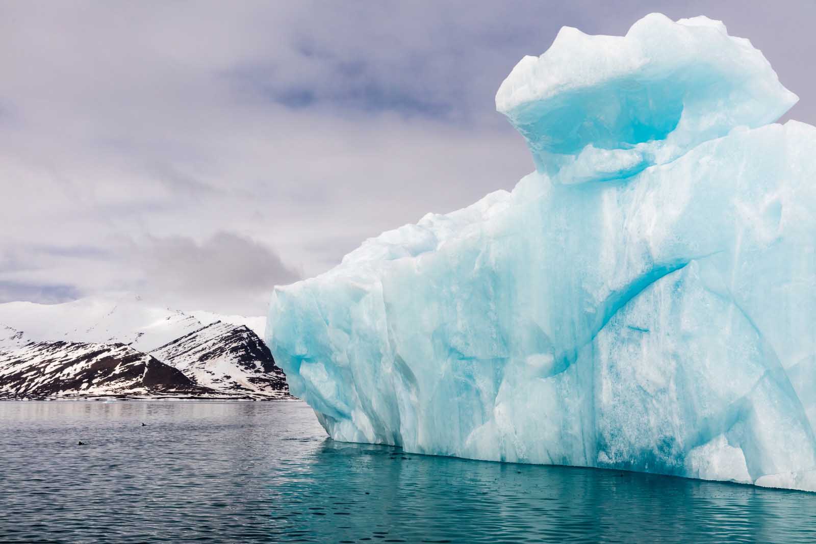 Liefdefjorden | Spitsbergen |  Antarctica