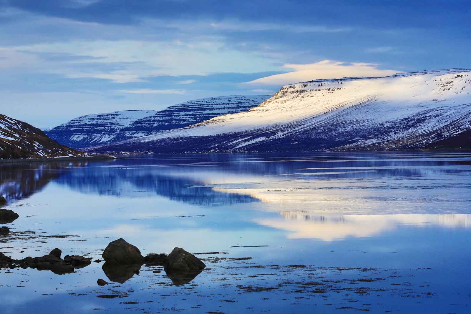 Iceland's West Fjords | Iceland |  Antarctica