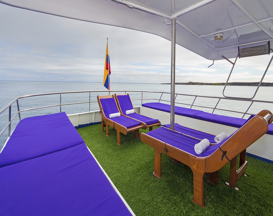 Estrella de Mar |  Galapagos Cruises