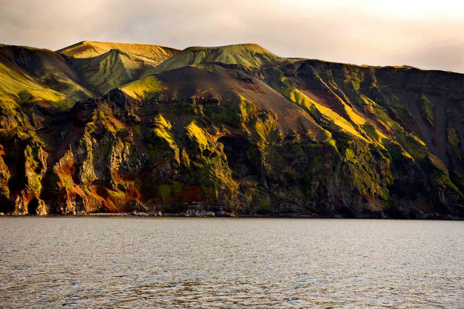 Falklands (Malvinas) & South Georgia