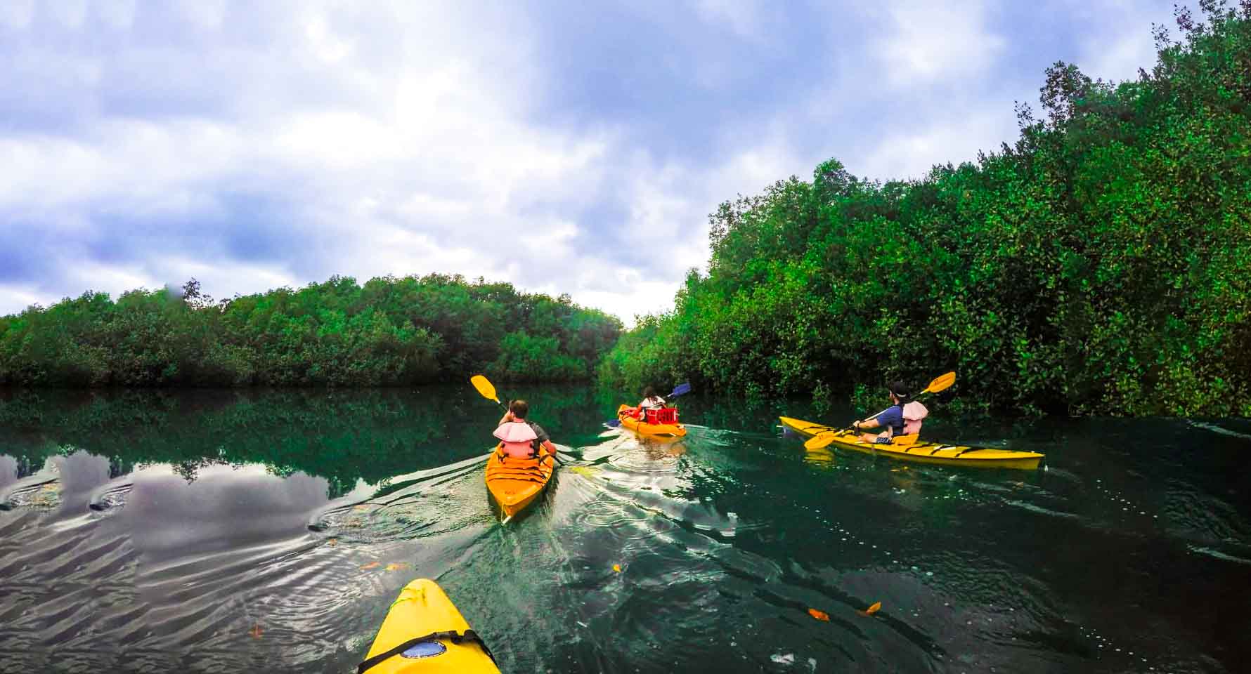 Kayak | Osa Peninsula | Costa Rica