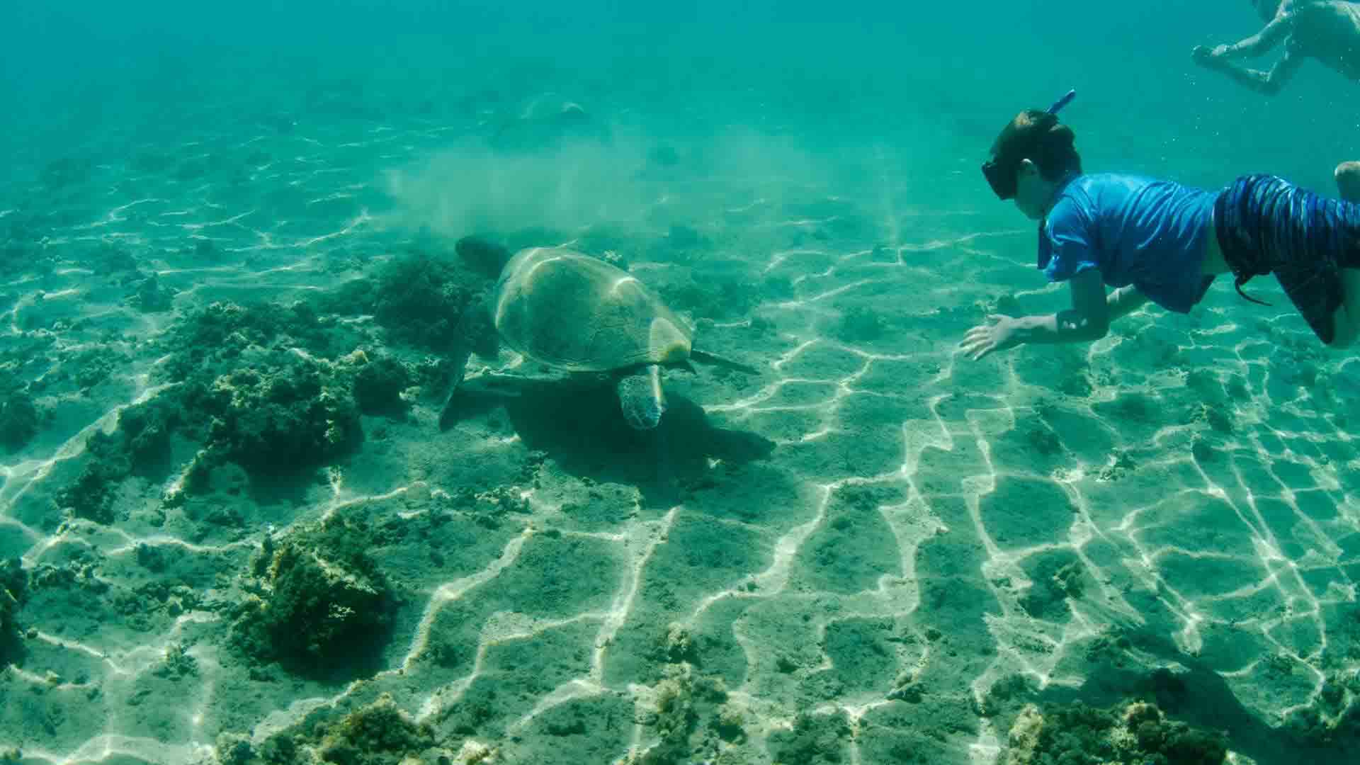 Sullivan Bay | Galapagos