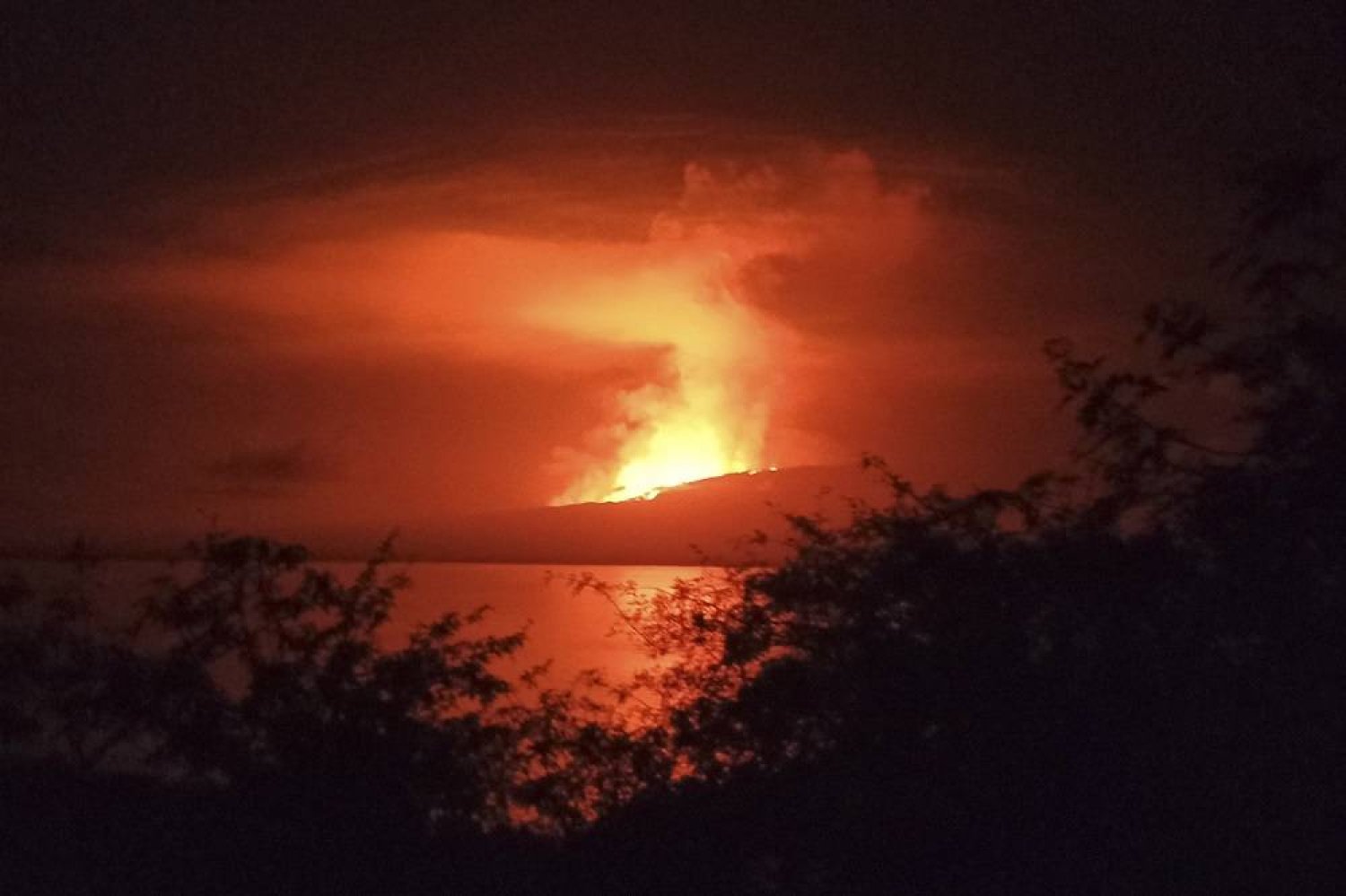  Galapagos | Volcano on Uninhabited Galapagos Island Erupts, Sends Lava Flowing to Sea 