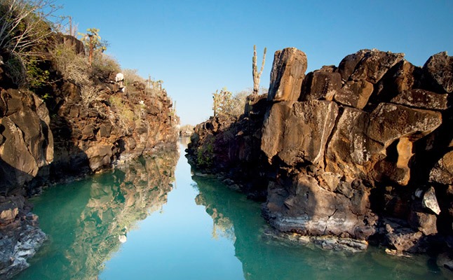 The Crevasses | Galapagos