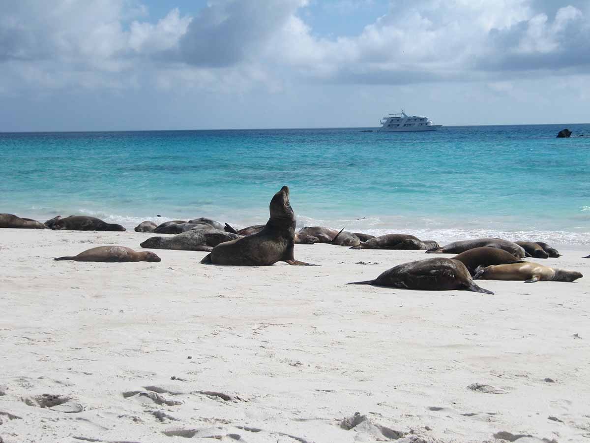 8 days Galapagos islands luxury cruise Origin yacht Itinerary B